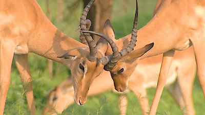 Earth Odyssey with Dylan Dreyer Season 5 Episode 7