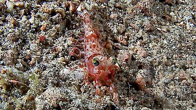 Earth Odyssey with Dylan Dreyer Season 5 Episode 11