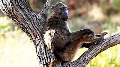 Earth Odyssey with Dylan Dreyer Season 5 Episode 13