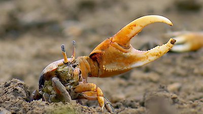 Earth Odyssey with Dylan Dreyer Season 5 Episode 14