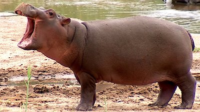 Earth Odyssey with Dylan Dreyer Season 5 Episode 16