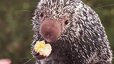 Earth Odyssey with Dylan Dreyer Season 5 Episode 17