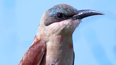 Earth Odyssey with Dylan Dreyer Season 5 Episode 18