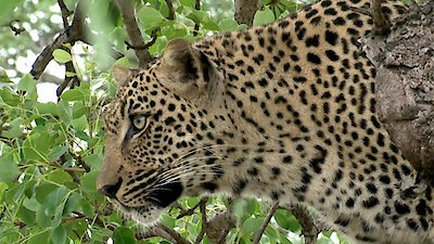 Earth Odyssey with Dylan Dreyer Season 5 Episode 19