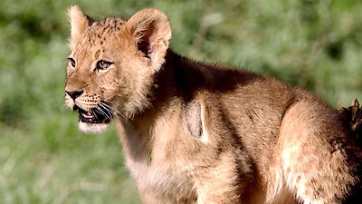 Earth Odyssey with Dylan Dreyer Season 6 Episode 1