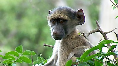 Earth Odyssey with Dylan Dreyer Season 6 Episode 2