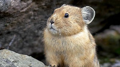 Earth Odyssey with Dylan Dreyer Season 6 Episode 3