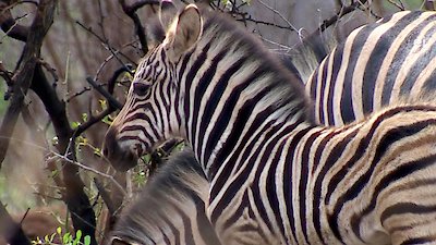 Earth Odyssey with Dylan Dreyer Season 6 Episode 4