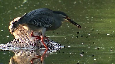 Earth Odyssey with Dylan Dreyer Season 6 Episode 5