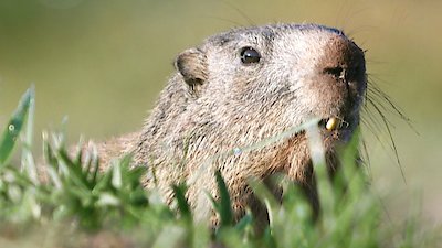 Earth Odyssey with Dylan Dreyer Season 6 Episode 6