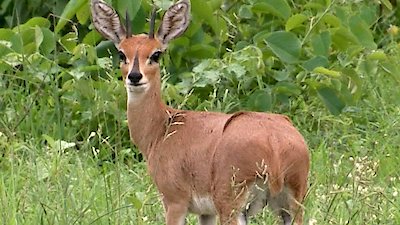 Earth Odyssey with Dylan Dreyer Season 6 Episode 9