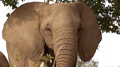 Earth Odyssey with Dylan Dreyer Season 6 Episode 10