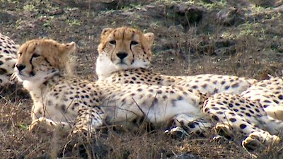 Earth Odyssey with Dylan Dreyer Season 6 Episode 11