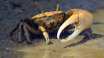 Earth Odyssey with Dylan Dreyer Season 6 Episode 12