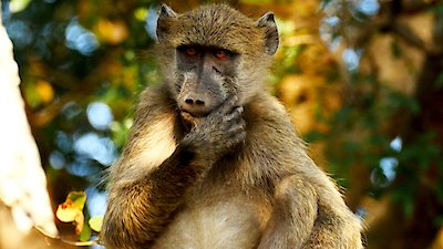 Earth Odyssey with Dylan Dreyer Season 6 Episode 13