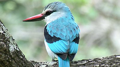 Earth Odyssey with Dylan Dreyer Season 6 Episode 14