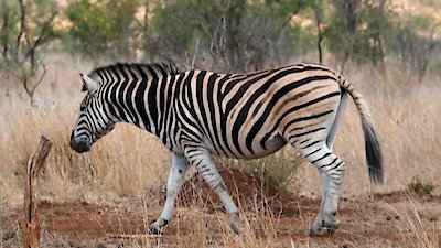 Earth Odyssey with Dylan Dreyer Season 6 Episode 16