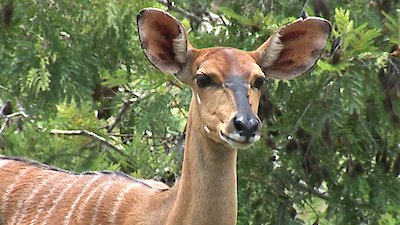 Earth Odyssey with Dylan Dreyer Season 6 Episode 18