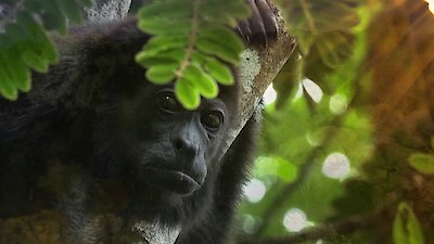 Earth Odyssey with Dylan Dreyer Season 6 Episode 19