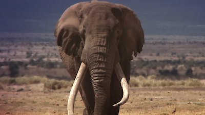 Earth Odyssey with Dylan Dreyer Season 6 Episode 20