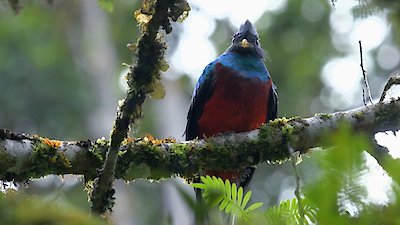 Earth Odyssey with Dylan Dreyer Season 6 Episode 21