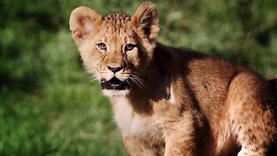 Earth Odyssey with Dylan Dreyer Season 6 Episode 22