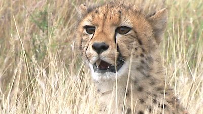 Earth Odyssey with Dylan Dreyer Season 6 Episode 23