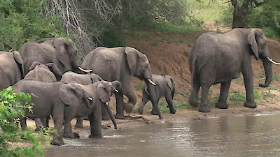 Earth Odyssey with Dylan Dreyer Season 6 Episode 24