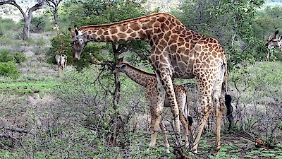 Earth Odyssey with Dylan Dreyer Season 6 Episode 26