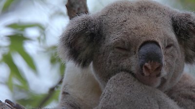 Earth Odyssey with Dylan Dreyer Season 7 Episode 1