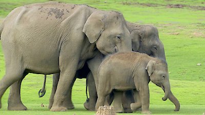 Earth Odyssey with Dylan Dreyer Season 7 Episode 2