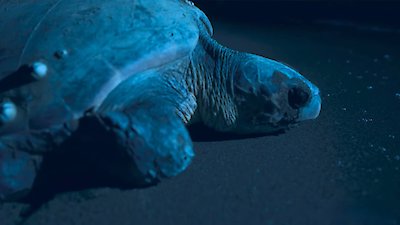 Earth Odyssey with Dylan Dreyer Season 7 Episode 3