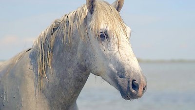 Earth Odyssey with Dylan Dreyer Season 7 Episode 4