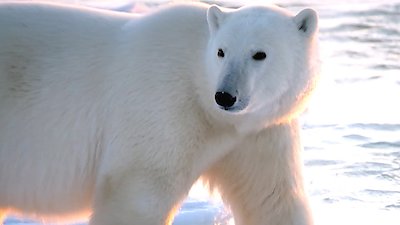 Earth Odyssey with Dylan Dreyer Season 7 Episode 6