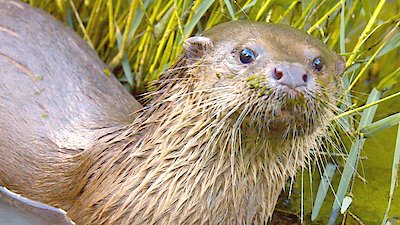 Earth Odyssey with Dylan Dreyer Season 7 Episode 8