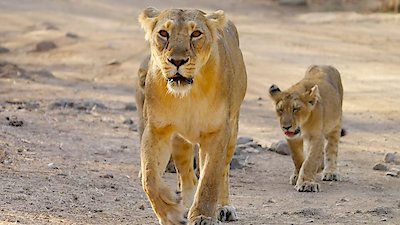 Earth Odyssey with Dylan Dreyer Season 7 Episode 9