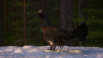 Earth Odyssey with Dylan Dreyer Season 7 Episode 11