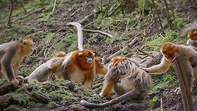 Earth Odyssey with Dylan Dreyer Season 7 Episode 13