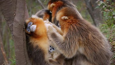 Earth Odyssey with Dylan Dreyer Season 7 Episode 14