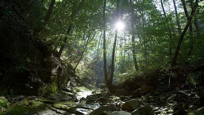 Wild Korea Season 1 Episode 1