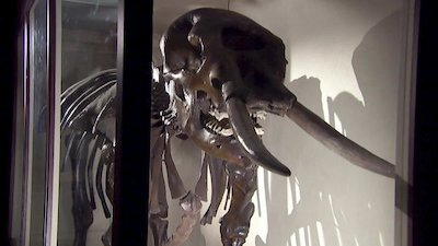 Beyond the Unknown Season 2 Episode 12