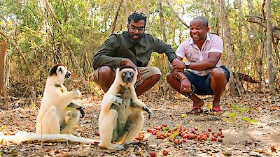 The Misadventures Of Romesh Ranganathan Season 4 Episode 3