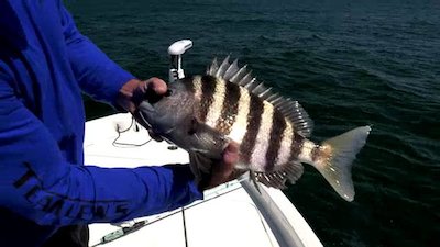 Addictive Fishing Season 19 Episode 5