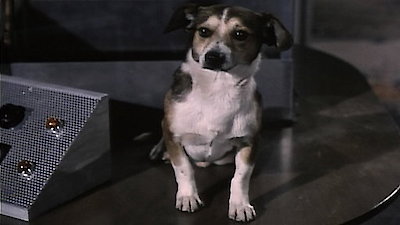 My Favorite Martian Season 3 Episode 25