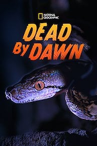 Dead by Dawn