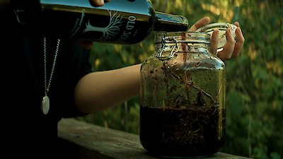 Hellier Season 2 Episode 8