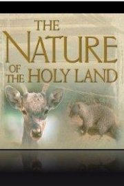 Nature of the Holy Land 