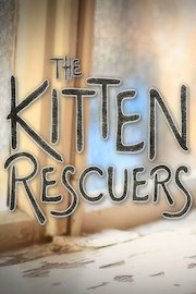 Kitten Rescuers