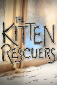 Kitten Rescuers