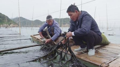 Flavorful Origins Season 1 Episode 7